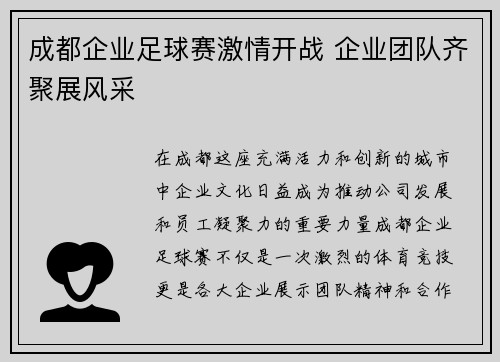 成都企业足球赛激情开战 企业团队齐聚展风采