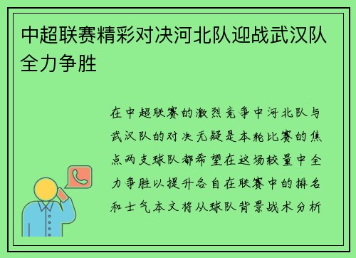 中超联赛精彩对决河北队迎战武汉队全力争胜